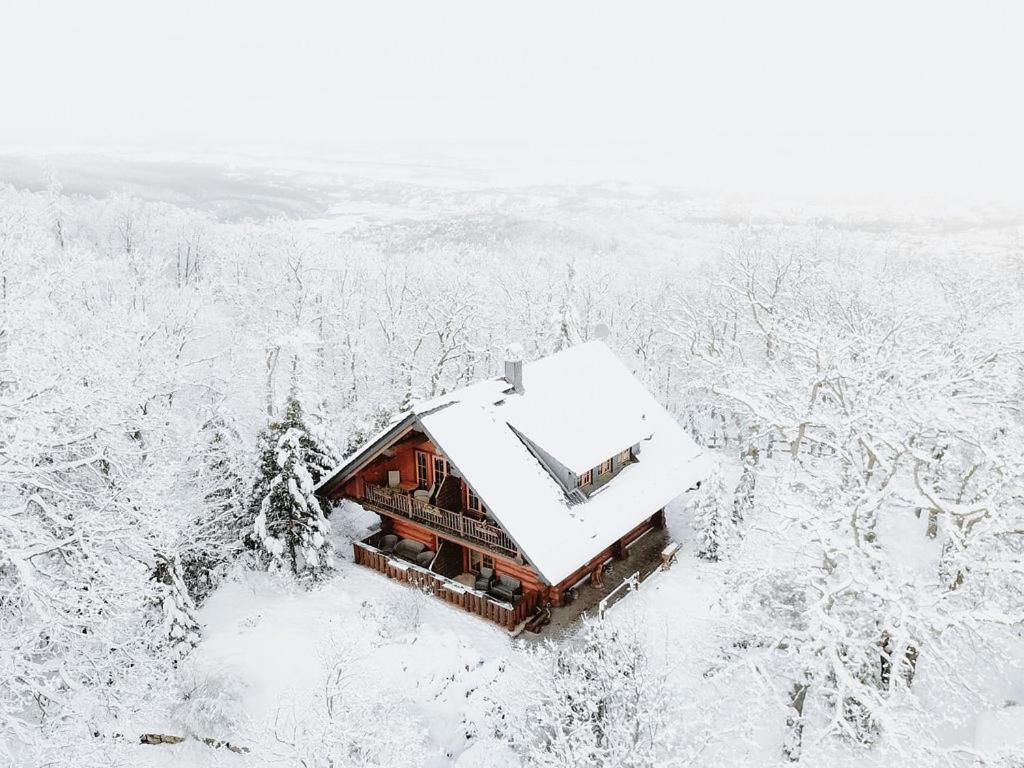Naturtraum Georgshoehe Thale Exterior foto